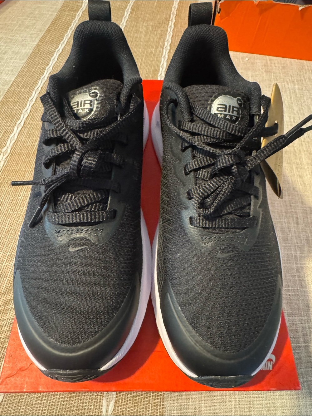 Nike Air Max Running Sneakers - Black/White